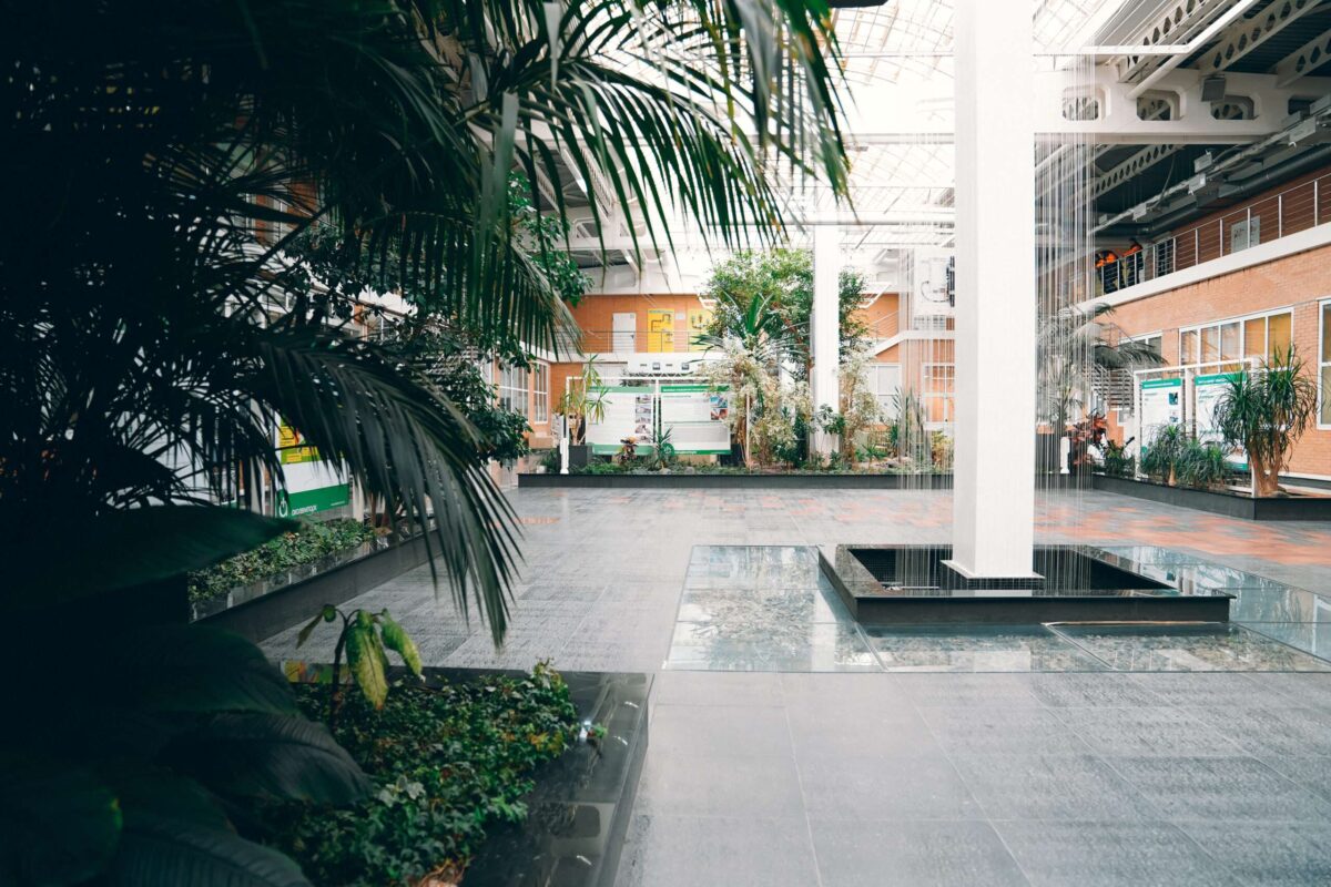 2011 (1)